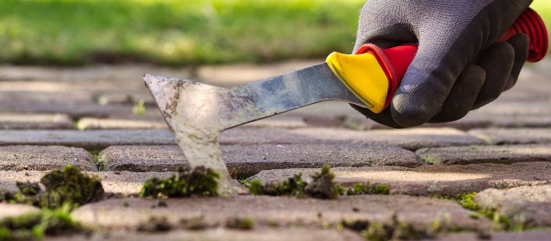 Nahaufnahme der Hand eines Gärtners, der Unkraut aus den Pflastersteinen einer Terrasse im Garten entfernt.